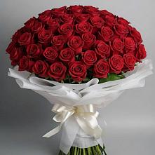 Букет 101 Красная роза Блэк Мэджик #REPLACE_PRED# Первомайском Тамбовской области