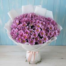 Букет цветов из:  Хризантемы в Первомайском Тамбовской области