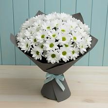 Букет цветов из:  Хризантемы в Первомайском Тамбовской области