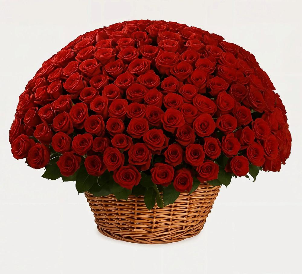 Премиум букет из: Розы в Первомайском Тамбовской области