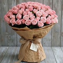 Букет 151 Роза Роуз #REPLACE_PRED# Первомайском Тамбовской области
