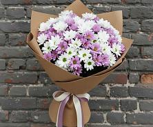 Букет цветов из:  Хризантемы в Первомайском Тамбовской области