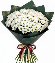 Букет цветов из:  Хризантемы #REPLACE_PRED# Первомайском Тамбовской области