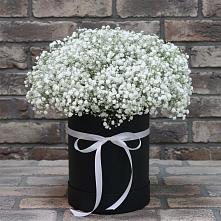 Цветочная композиция из Гипсофила в шляпной коробке в Первомайском Тамбовской области
