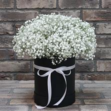 Цветочная композиция из Гипсофила в шляпной коробке в Первомайском Тамбовской области