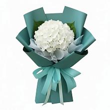 Букет цветов из:  Гортензия #REPLACE_PRED# Первомайском Тамбовской области